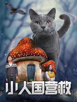 美女肉体导航